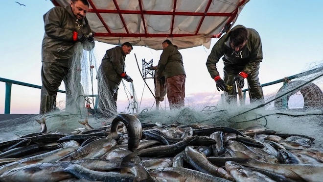 av yasağı balıkçılık